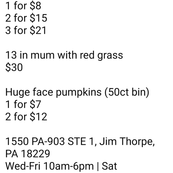 Brandon Thomas Brown Suede Skirt with Floral Detail - Picture 8 of 8